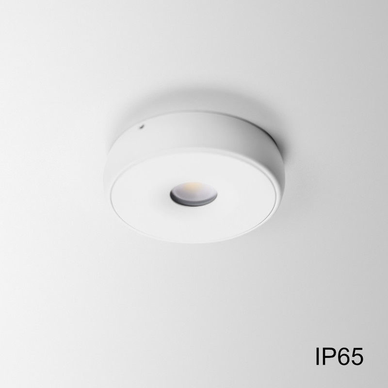 IP65 SURFACE DOWN LIGHT